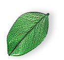 floating_leaf_01 https://salimpa.dweb.pt/wp-content/uploads/2025/07/floating_leaf_01.png